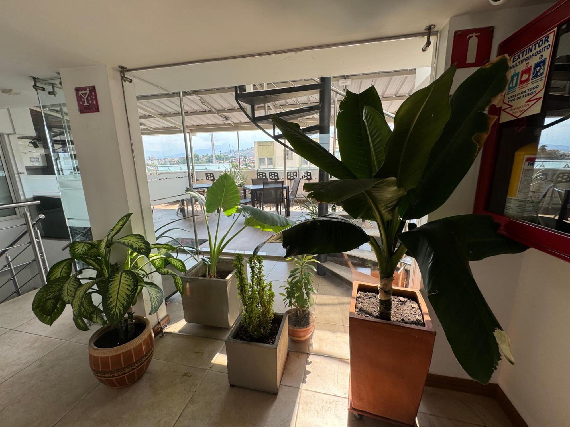Hotel San Antonio Plaza Cali Εξωτερικό φωτογραφία